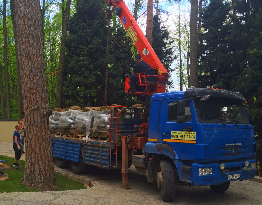 доставка рулонного газона в Москве