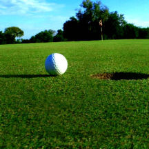 Рулонный газон для гольфа