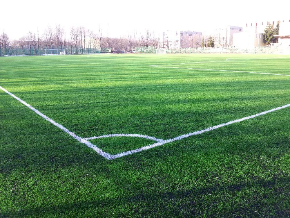 рулонный газон для футбольного поля