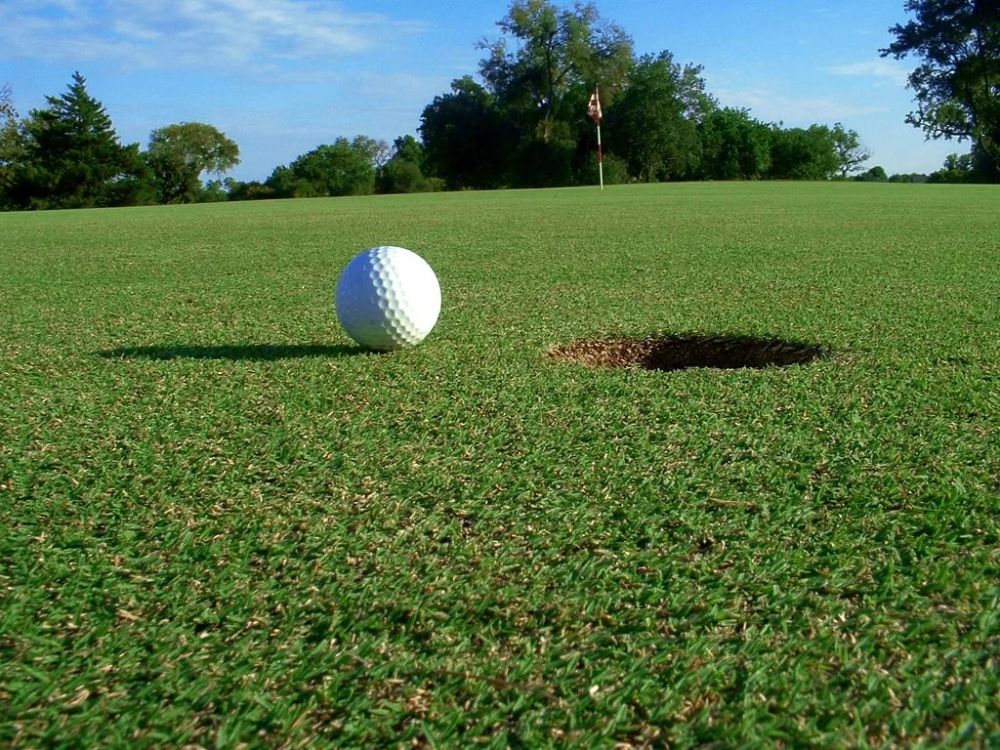рулонный газон для гольфа